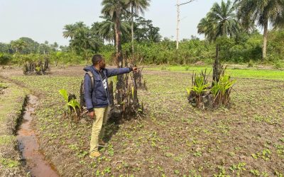 PEOPLE’S DEVELOPMENT ORGANIZATION (PDO) ENGAGED IN FINAL MONITORING OF THE ‘SUPPORT TO MOTHERS’ CLUBS ON BACKYARD GARDEN’ PROJECT.