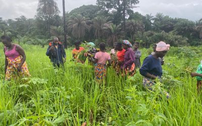 PDO undertakes monitoring exercises on Mothers’ clubs that are engaged in backyard garden activities